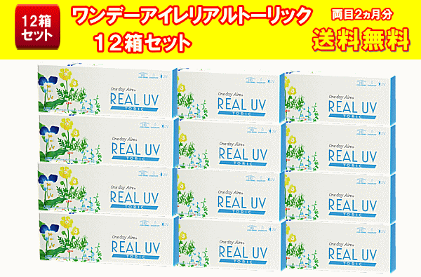 ワンデーアイレリアルUVトーリック送料無料12箱