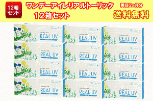 ワンデーアイレリアルUVトーリック送料無料12箱