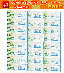 ワンデーアイレリアルUVトーリック送料無料24箱セット