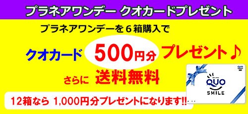 プラネアワンデー6箱購入で500円分プレゼント